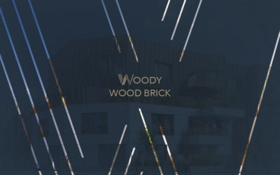 Arc promotion — Woody Wood Brick